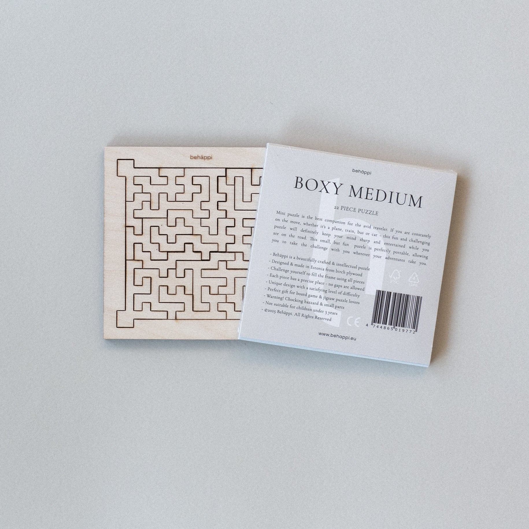 Mini Boxy Medium / NO 23