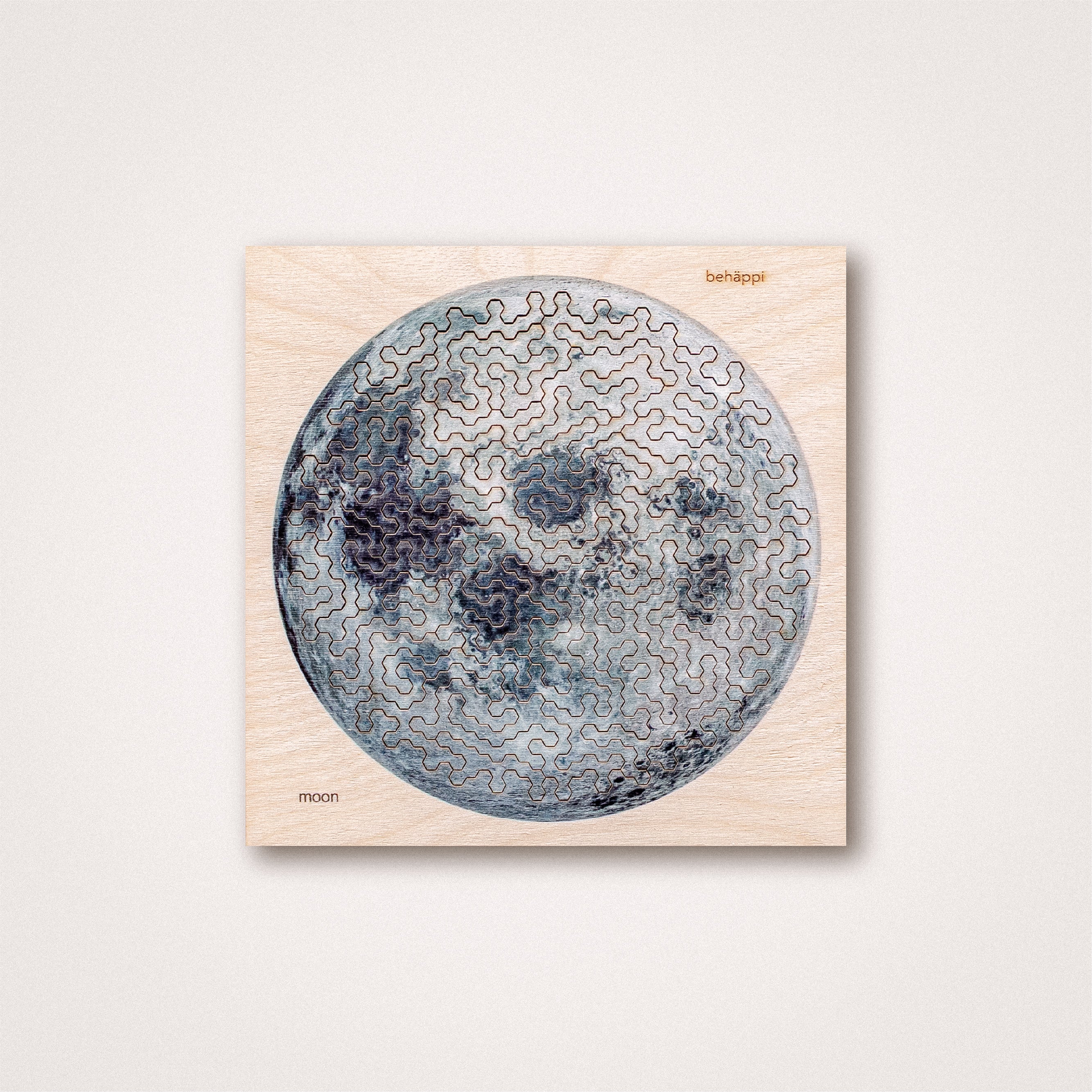 Moon